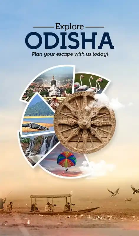 How to Plan a Hassle-Free Odisha Tour with Hi Odisha