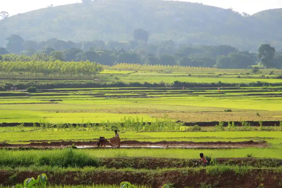 Sunabeda Wildlife Sanctuary